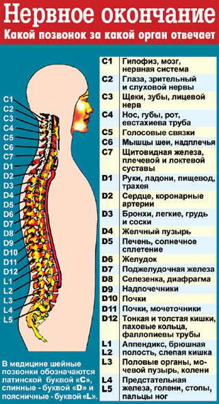Что-то мешает в горле, но боли нет - чувство инородного тела Что делать, если болят суставы пальцев рук - лечение