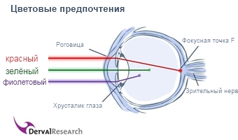  . ,   . DervalResearch, , , ,    .  -   ITrex.