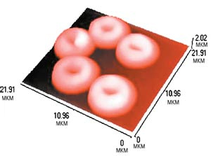 Эритроциты крови человека. Их прочная оболочка на 23% состоит из холестерина. Изображение получено на атомно-силовом микроскопе Top ometrix AccurexTM (США) в лаборатории сканирующей зондовой микроскопии научно-образовательного центра «Физика твёрдотельных наноструктур» Нижегородского государственного университета им. Н.И.Лобачевского (НОЦ ФТНС ННГУ). Авторы - Ю.Ю.Гущина, С.Н.Плескова. Изображение: «Наука и жизнь»