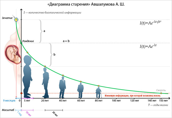 Информационно-энтропийная модель старения Информационно-энтропийная модель старения