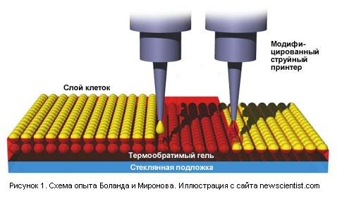 align=left