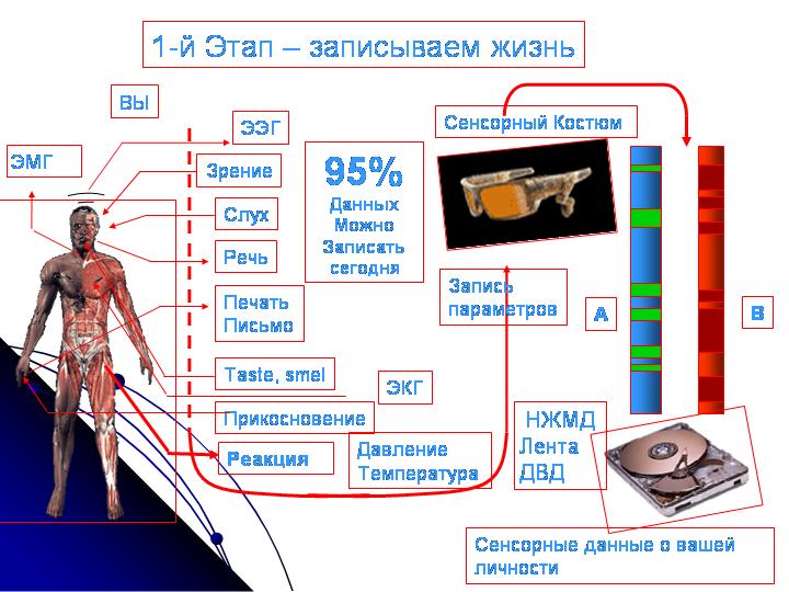 sensor_suit_immorta6_short1