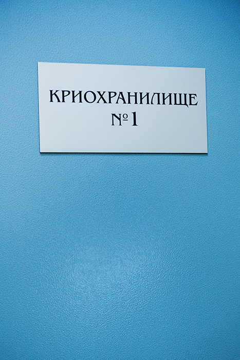 рялрпалорлорпЛО