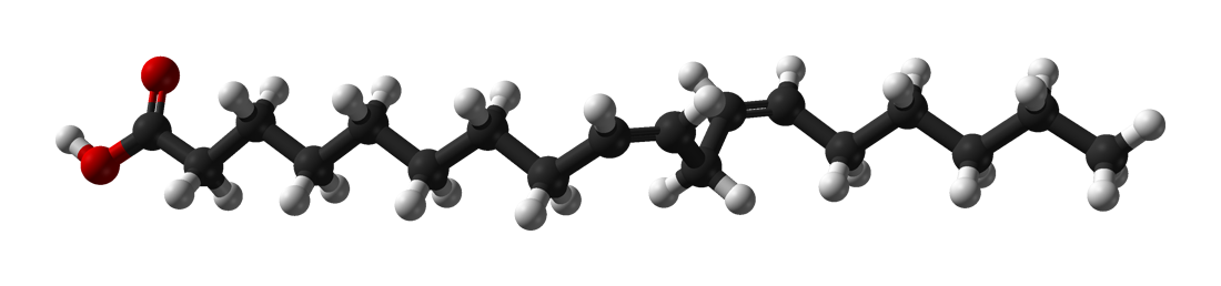 Linoleic-acid-from-xtal-1979-3D-balls