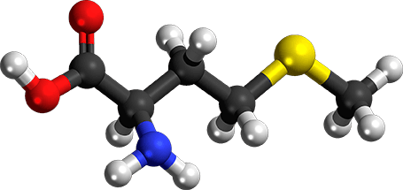 Метионин уникальная протеиногенная аминокислота которая содержит серу и может являться предшественником другой серосодержащей аминокислоты - цистина