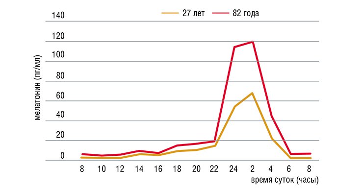 С возрастом продукция мелатонина эпифизом уменьшается, что видно по суточному ритму концентрации мелатонина в крови мужчин разного возраста