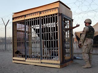 Третье место также получил фотограф из США. Сотрудник агентства Associated Press получил свой приз за фото "Иракский заключенный в камере-одиночке тюрьмы "Абу-Грейб"